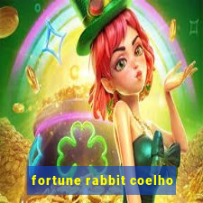 fortune rabbit coelho